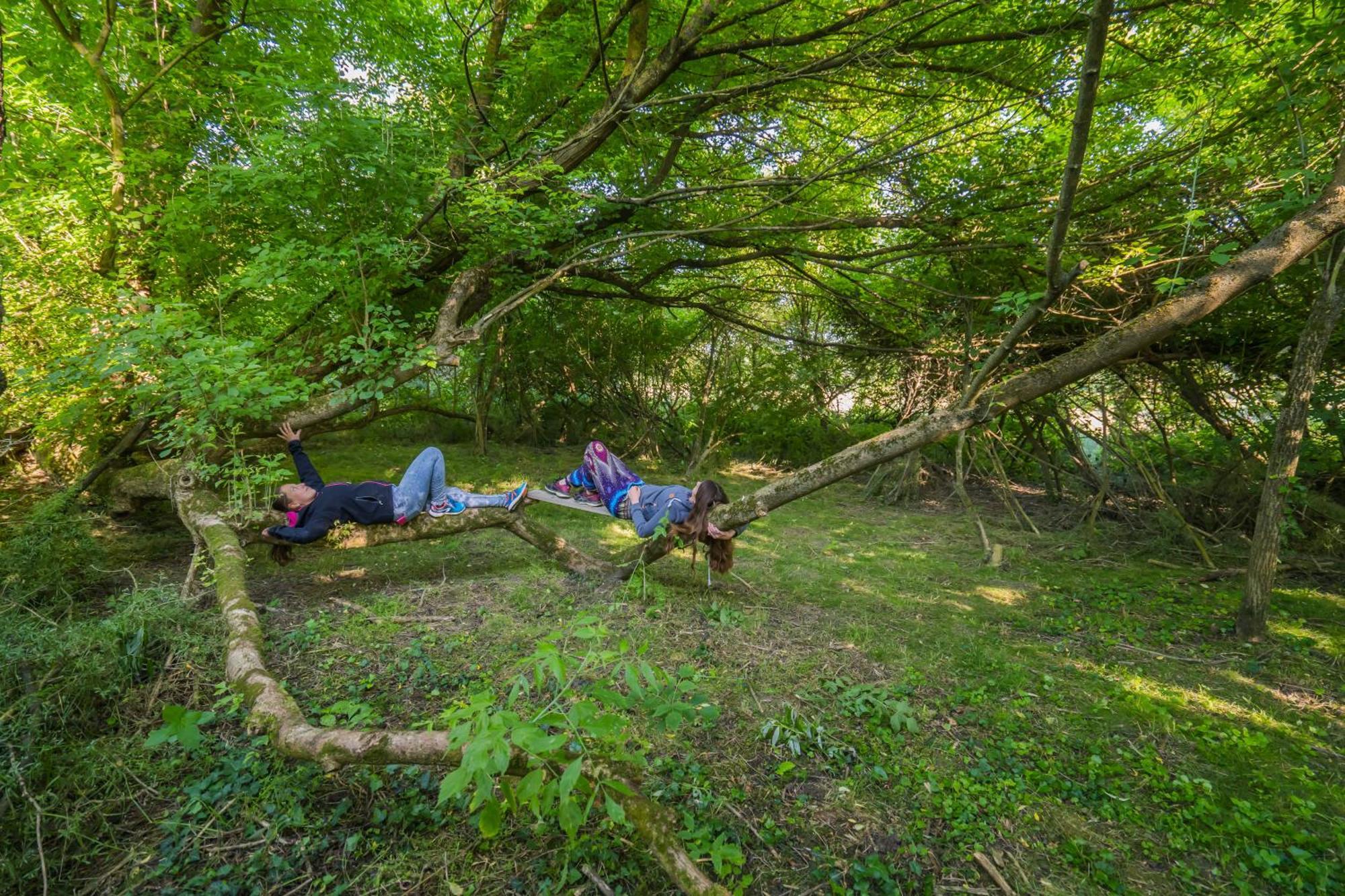 Szellos Ret Camping Balvanyos Exterior foto