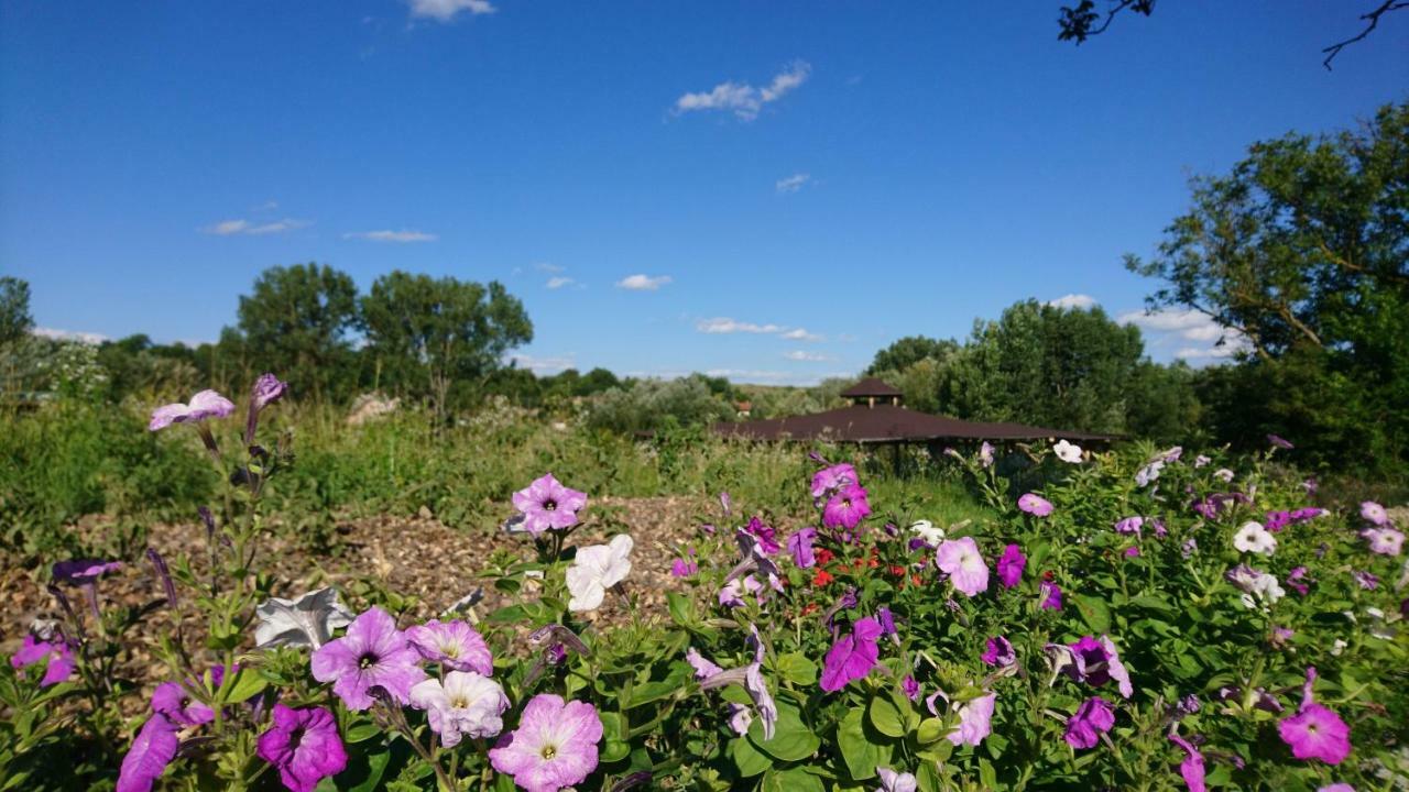 Szellos Ret Camping Balvanyos Exterior foto