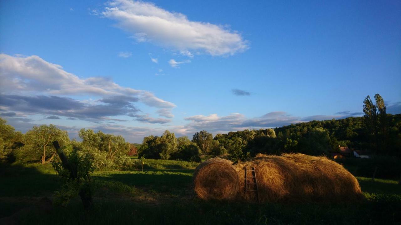 Szellos Ret Camping Balvanyos Exterior foto